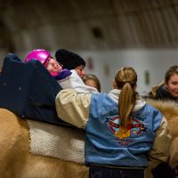 Summer Therapeutic Riding Camps